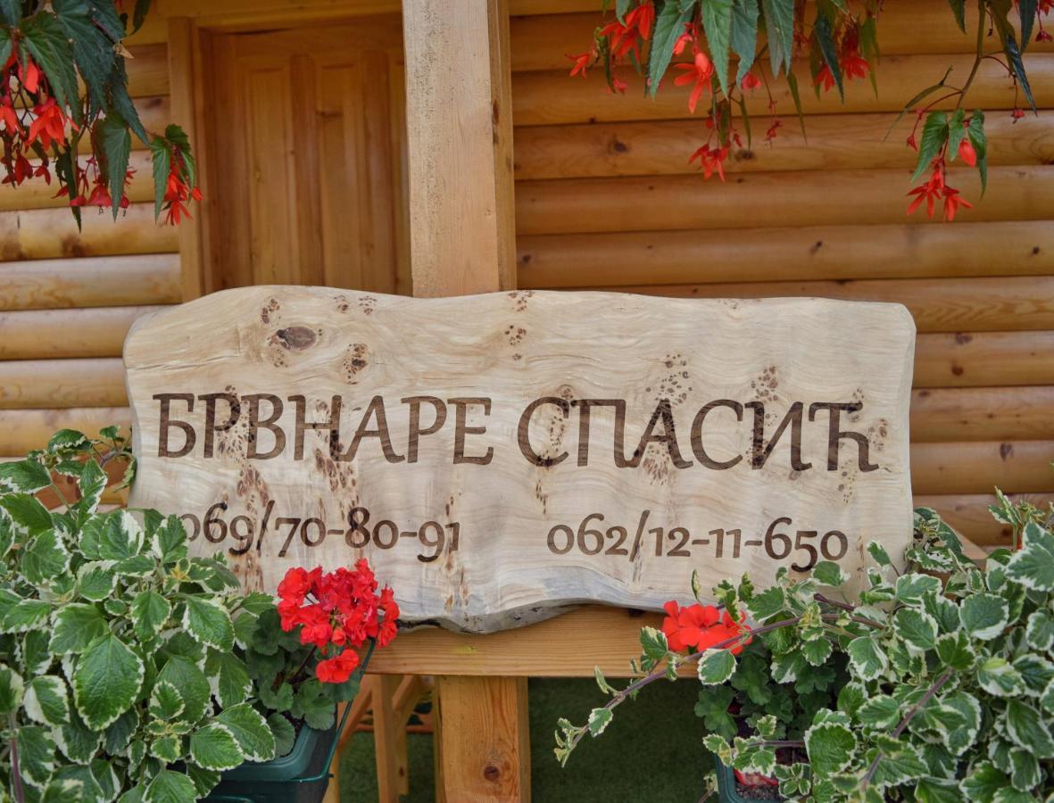 Brvnare Spasic Vinci Exterior foto