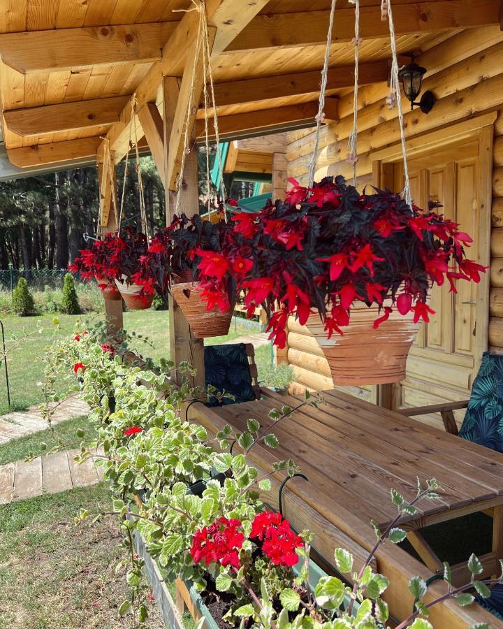 Brvnare Spasic Vinci Exterior foto